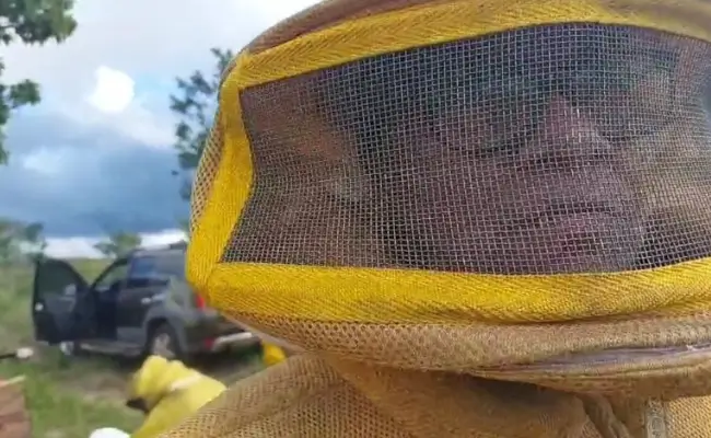 ana